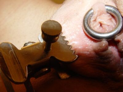 Rita Torture Galaxy Pierced Tattoed Needles Slave 072