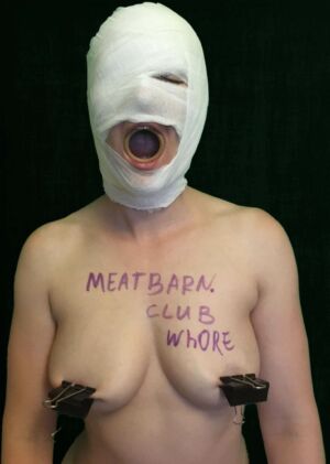 Urrtiko-submissive-slut-poses-medical-bondage-nipple-clamps-meatbarn-009.jpg