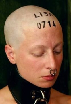 Lisa 0714 slave with shaved head and nose ring and posture collar