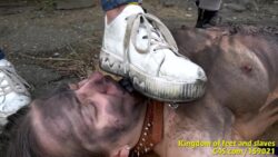 Submissive girl in collar covered with dirt licks a Mistress's dirty sneaker